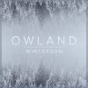 Download track Owland (Remix)