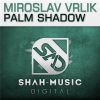 Download track Palm Shadow (Original Mix)