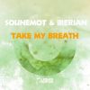 Download track Take My Breath (Intro Vocal Mix)