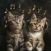 Download track Feline Calm Echoes