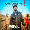 Download track Oye Como Va! (Radio Edit)