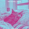 Download track Serene (Relaxing Cats)