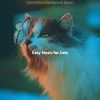 Download track Atmospheric (Cats)