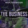 Download track The Business (Ingo Bergsen Remix)