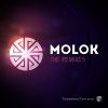 Download track Psy Tribe (Molok Remix)