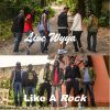 Download track Like A Rock