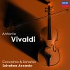 Download track Vivaldi' Trio Sonata In D Minor For 2 Violins And Continuo, Op. 1 12, RV 63 La Follia