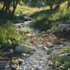 Download track Tranquil Water Sounds For Animal Calm