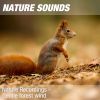 Download track Nature Sounds For Meditation, Relaxing Exercises & Massage (Calming Forest, Wind) 16