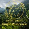 Download track Silent Jungle Night