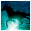 Download track Swimming Horses