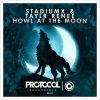 Download track Howl At The Moon (Radio Edit)