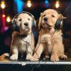 Download track Playful Dog Chords