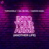 Download track Into Your Arms (Another Life) (Extended Mix)