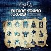 Download track Future Sound Of Egypt, Vol. 3 (Full Continuous Mix, Pt. 1)