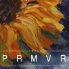 Download track PRMVR (Gorka Urbizu)