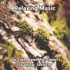 Download track Relaxing Music, Pt. 4
