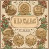 Download track Wild Azaleas