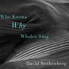 Download track Will We Know Why Whales Sing!