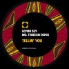 Download track Tellin' You