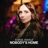 Download track Nobody's Home (Extended Mix)