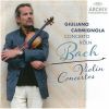 Download track 04. Violin Concerto BWV 1042 - I. Allegro