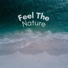 Download track Flying Through Nature Rain