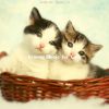 Download track Cute Kittens (Memories)