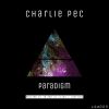 Download track Paradigm (Ar Men Da Viken Remix)