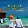 Download track 等你来相见 (DJ对唱版)