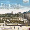 Download track Piano Quartet No. 2 In D Major, WoO 36: III. Rondo. Allegro