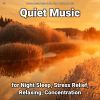 Download track Relaxation Music For The Hospital