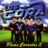 Download track Corrido De Jorge Vergara