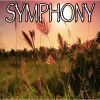 Download track Symphony - Tribute To Clean Bandit And Zara Larsson (Instrumental Version)