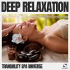 Download track Spa Relaxation