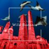 Download track Wild Bononia