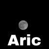 Download track Aric