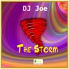 Download track The Storm (Club Version)