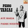 Download track Ave María (Schubert)