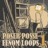 Download track Fenom Loop 09