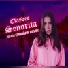 Download track Senorita (Remix)