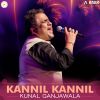 Download track Kannil Kannil