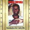 Download track Mwana Wenyu Wandiramba