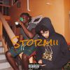 Download track Stormii