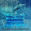 Download track Calming Of The Rain