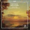 Download track Sonata Concertante For Violin & Piano In E-Flat Major: III. Molto Vivace