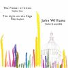 Download track The Flower Of Cities (Stephen Goss) VIII. Millenium Bridge