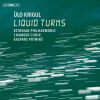 Download track Liquid Turns