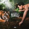 Download track Jungle