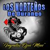 Download track El Limpia Vidrios